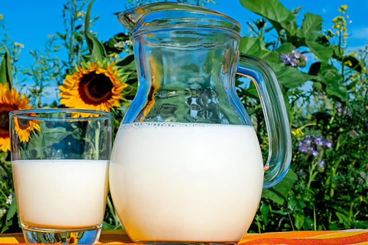 Beneficios de la leche en el desarrollo de la primera infancia