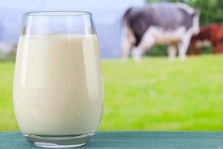 Precios de los lácteos de la FAO se eleva en febrero por una mayor demanda asiática