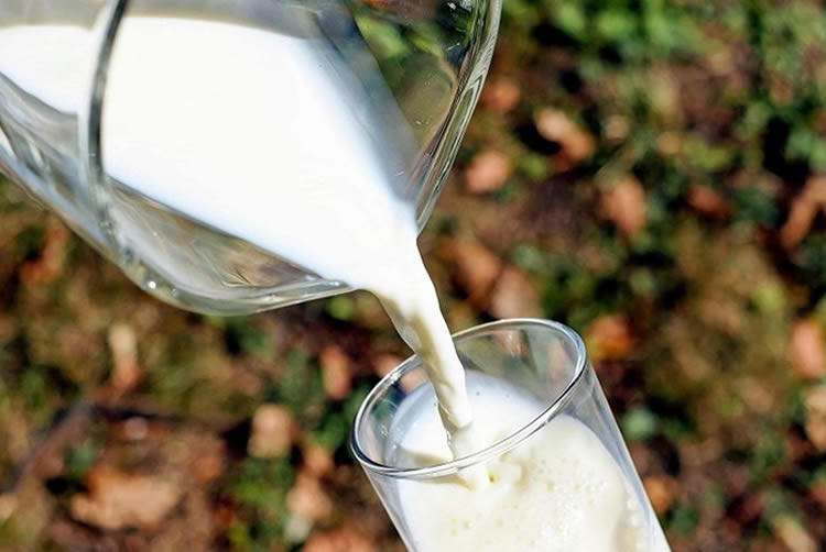 Consumidores de leche prefieren productos originales y no copias vegetales