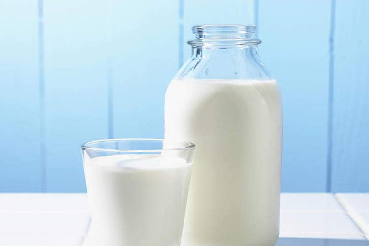 Propiedades antiinflamatorias de los lácteos podrían ayudar a combatir efectos de ultra procesados