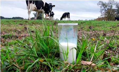 Oportunidades para el sector lácteo post-pandemia