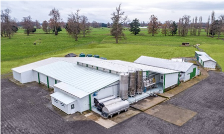 La reinvención industrial de los productores lecheros