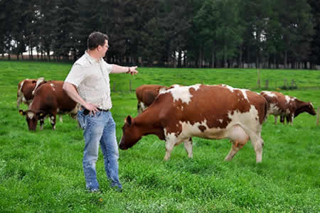 Opinión: &quot;Protejamos nuestra seguridad alimentaria&quot; ✍️