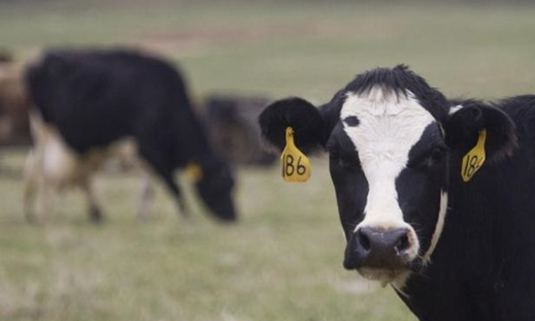  Argentina: la facturación del productor promedio aumentó un 4,7 %