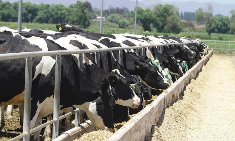 &quot;Si bien el precio por litro ha subido, los costos han escalado mucho más&quot;