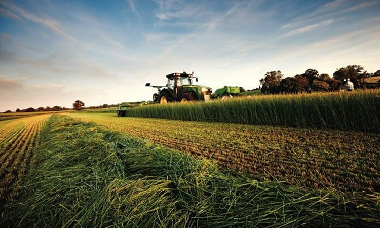 Fertilizantes con récord de precios