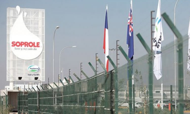 Traspaso de empresa Soprole no afectaría normal procesamiento de leche