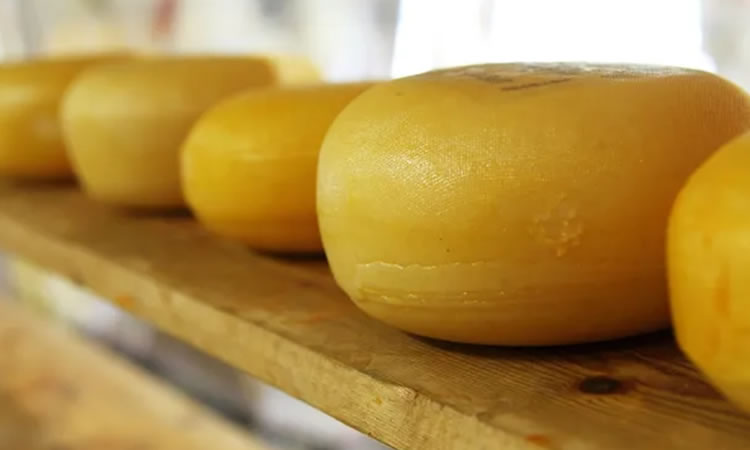 Argentina: Las exportaciones de lácteos alcanzaron el mayor valor en ocho años