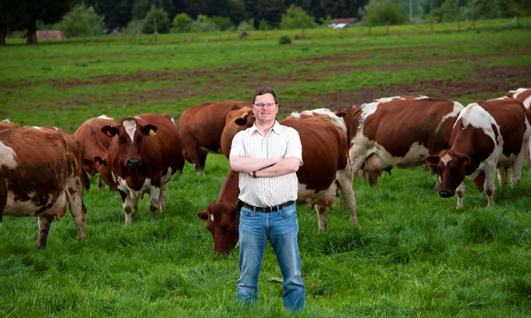 Opinión: ¡A trabajar por Chile!