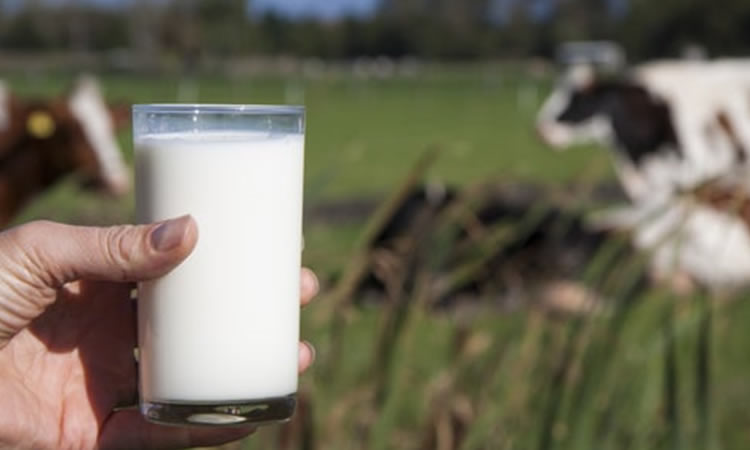 &quot;Los países cada vez quieren consumir productos que tengan una menor huella de carbono&quot;