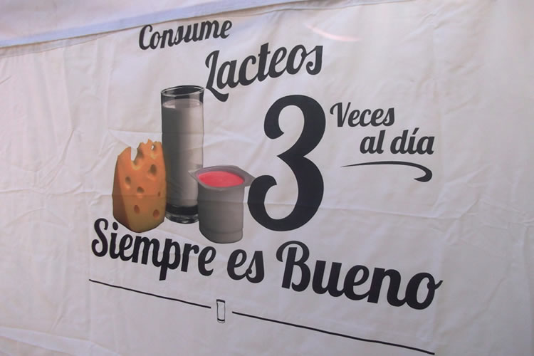 Por qué es tan importante tomar al menos 3 lácteos al día