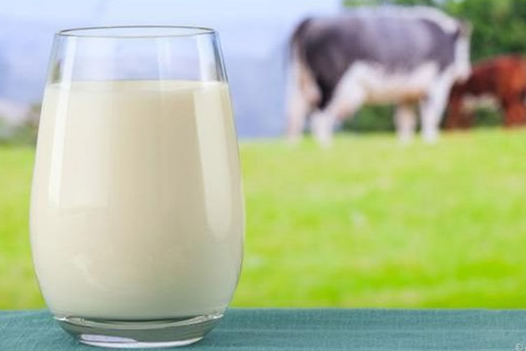 Noviembre supone un quinto descenso mensual consecutivo para el índice de precios de los productos lácteos de FAO 