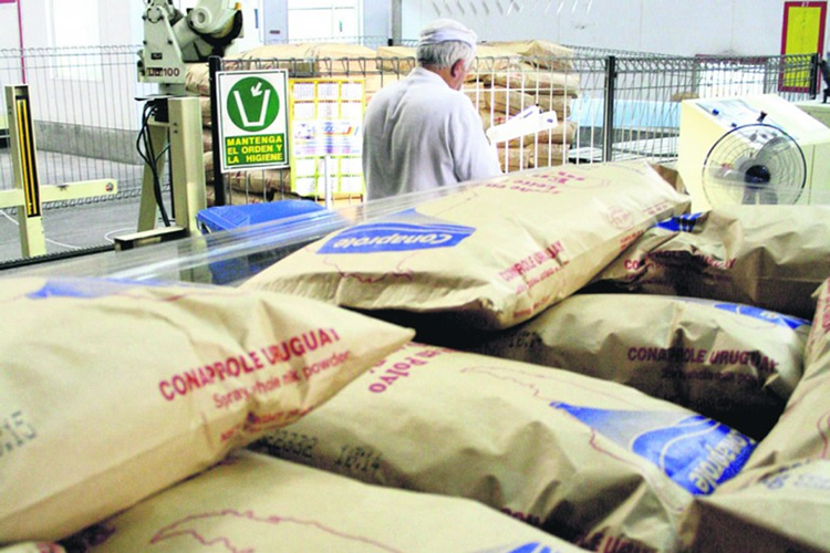 Uruguay será el segundo exportador de leche en polvo entera hacia China