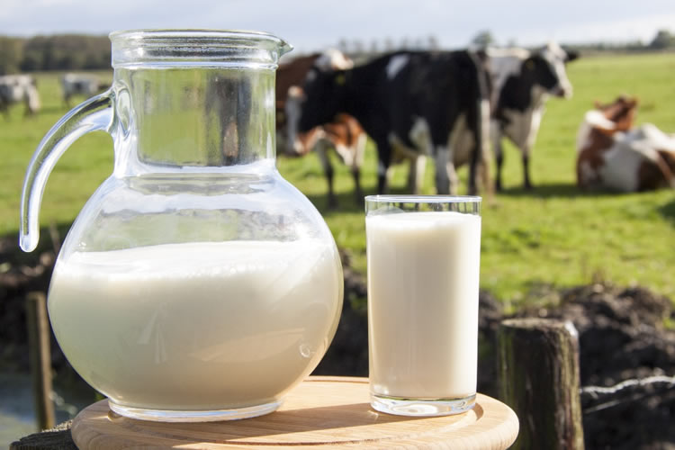 La vitamina B12 es un nutriente esencial que se encuentra en los alimentos de origen animal