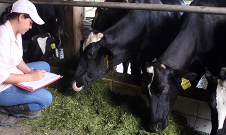 Estados Unidos: Producción de leche tiene resultados más sólidos 