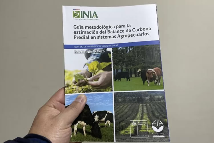 Publican primera guía metodológica para estimar las emisiones y absorciones de carbono 
