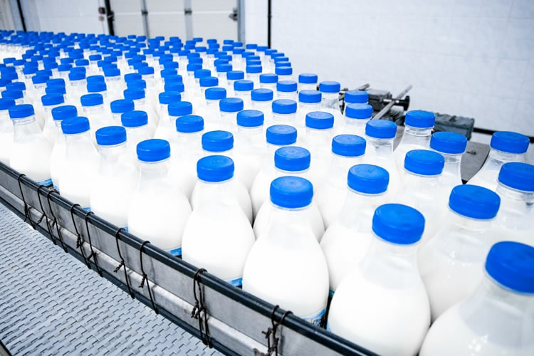 Soprole busca trabajadores: Conoce las vacantes disponibles y cómo postular