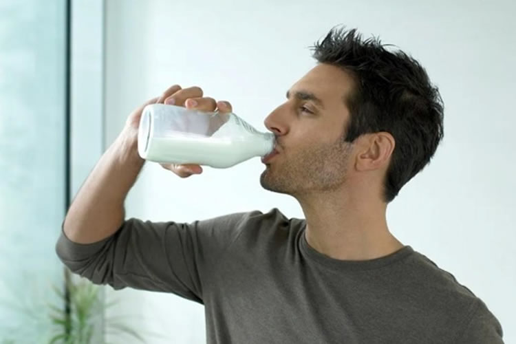 Tres lácteos al día, nutrición y gastronomía