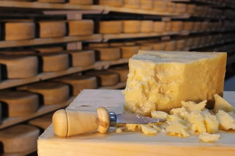 Convocatoria &quot;Gruyère&quot; y &quot;Parmesano&quot;: Acuerdo de Asociación Chile – Unión Europea trae cambios para producción chilena