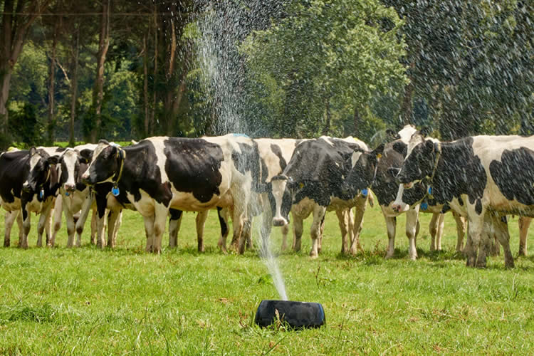 &quot;Modificaciones a la Ley de Riego deben traer un impacto importante en la inversión total que se hace a nivel nacional&quot;