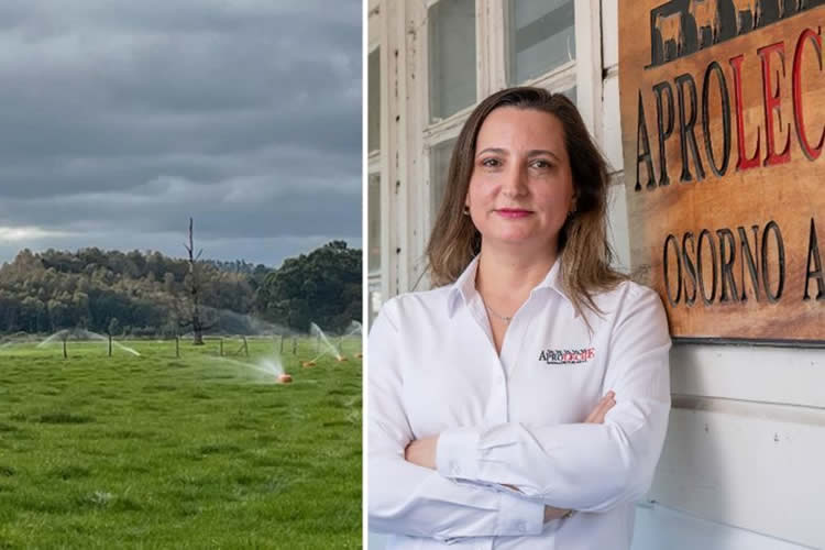 &quot;Tenemos desafíos pendientes en el tema hídrico&quot;