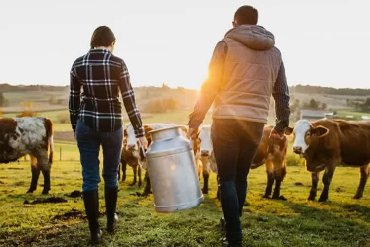 &quot;Cómo hacemos para seguir utilizando el suelo sin usar químicos&quot;, la apuesta de Nestlé a la agricultura regenerativa 