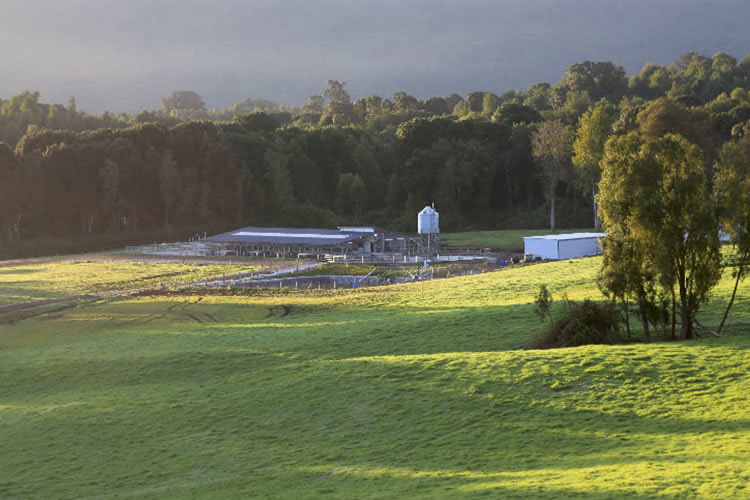 Lechera Manuka presenta su Quinto Reporte de Sustentabilidad