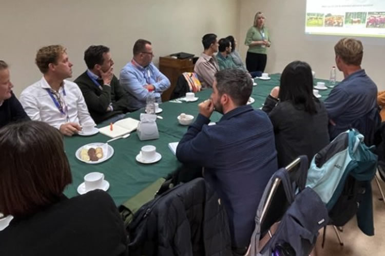 INIA Remehue apoya a delegación neerlandesa con estudios sobre algas marinas