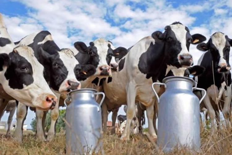 2023 cierra con tendencia alcista en los precios internacionales