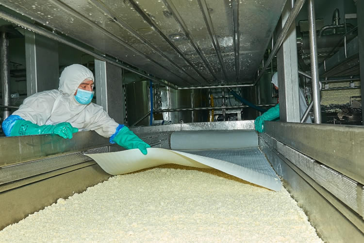 La elaboración láctea registra un comportamiento mixto durante 2023 