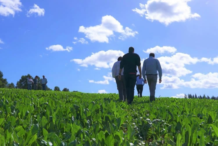 Nestlé reduce sus emisiones de gases de efecto invernadero y avanza a cero emisiones netas