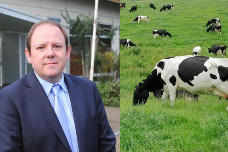 Chilelácteo: Expertos internacionales abordarán desde los mitos de la producción de metano al cooperativismo moderno