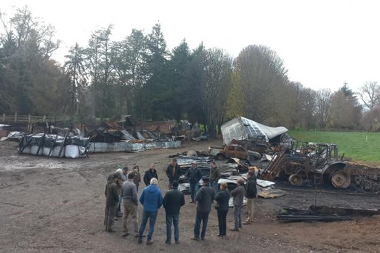 Opinión: Crisis rural y seguridad alimentaria