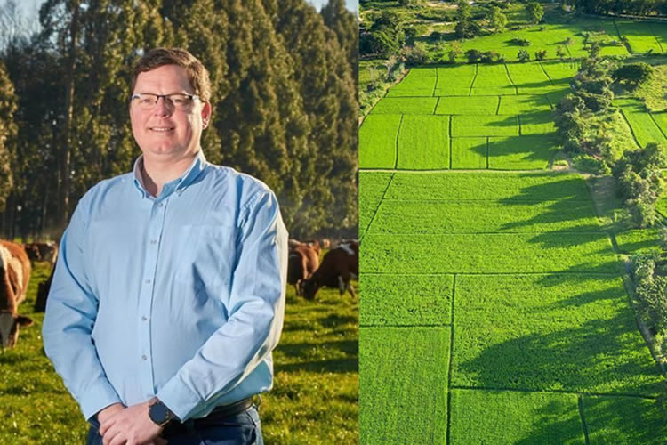 Opinión gremial: Una injusticia tributaria para el agro