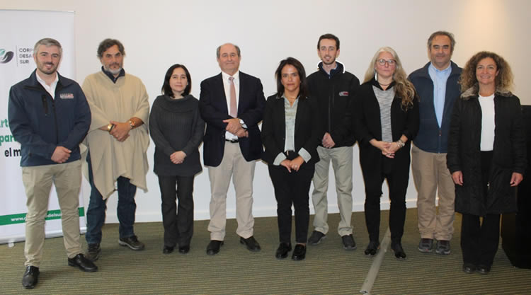 Corporación de Desarrollo del Sur da cuenta de balance y proyección 