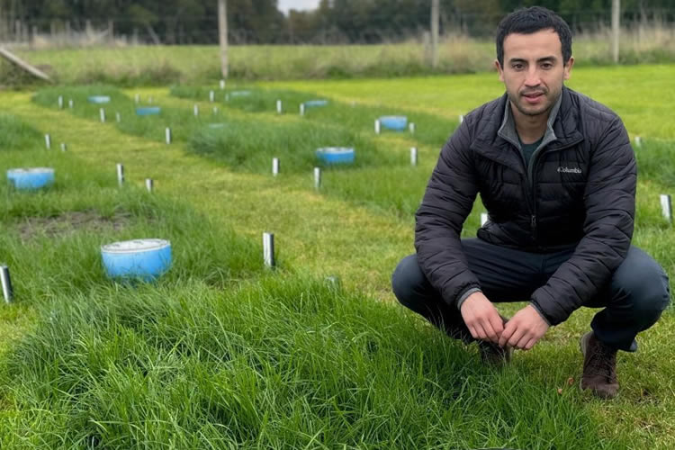 Experimento de INIA busca mejorar los factores de emisión de gases invernadero