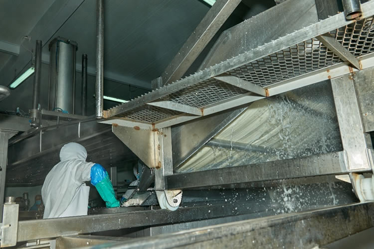 Resultados mixtos en la elaboración de lácteos al primer trimestre 