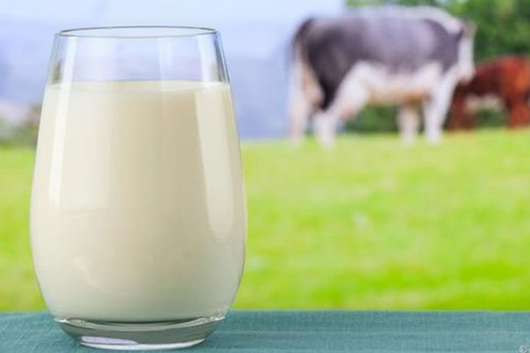 Los precios mundiales de los productos lácteos siguen subiendo