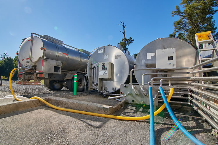 Ranking de la industria láctea al mes octubre. Colun mantiene liderazgo 