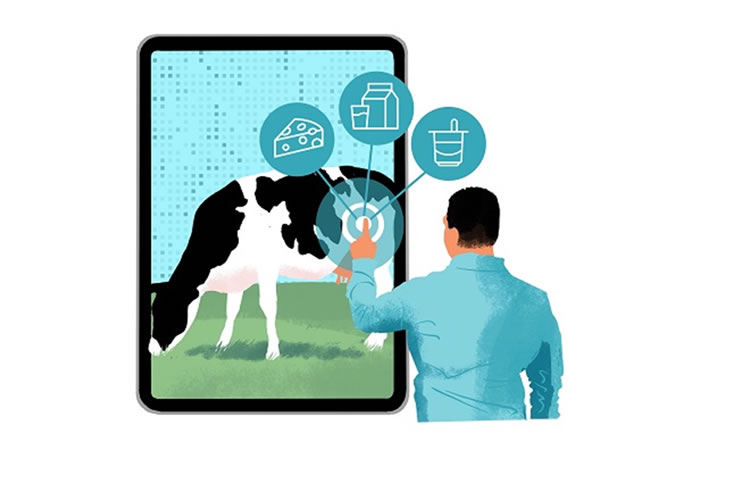 Tecnología, riego y exportaciones de nicho: Los avances del sector lácteo hacia el futuro