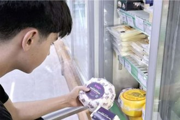 Cooperativa Torrencial Lechero logra crecimiento anual de 10% en recepción de leche