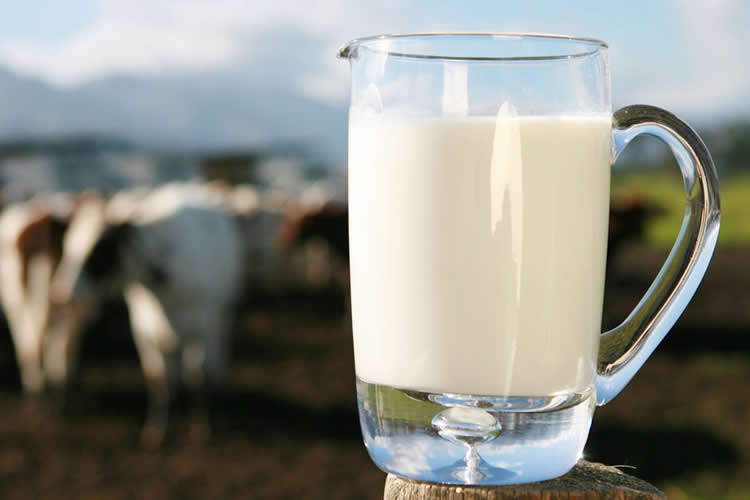Un estudio confirma que las bebidas vegetales tienen menos nutrientes que la leche de vaca