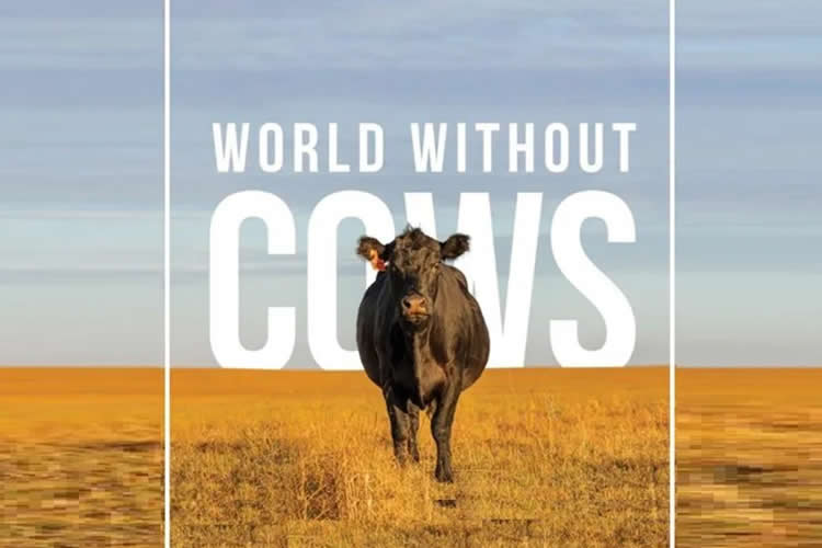 Las vacas como recicladoras de la naturaleza