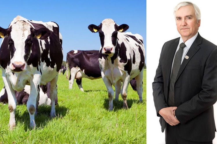 Agrollanquihue llama a reponer norma silvoagropecuaria sostenible 