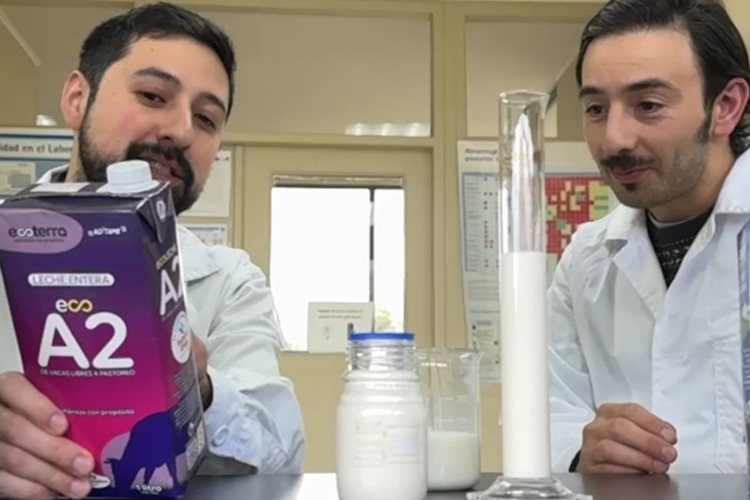 Proyectos de investigación y desarrollo que están marcando pauta en el Sector lechero