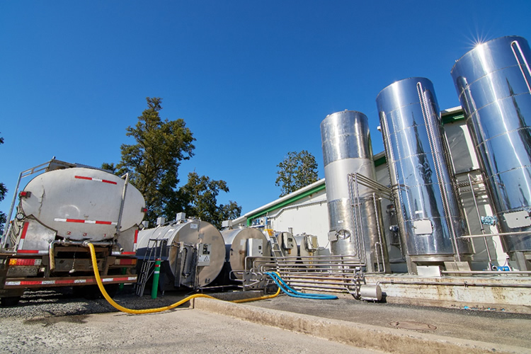 Industrias mantienen su posición en el ranking de compra de leche cruda 