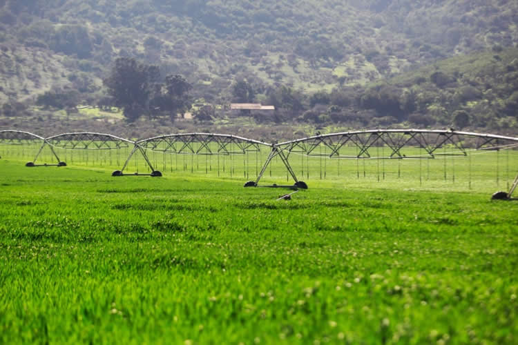 Saval: Dirigencia y representación