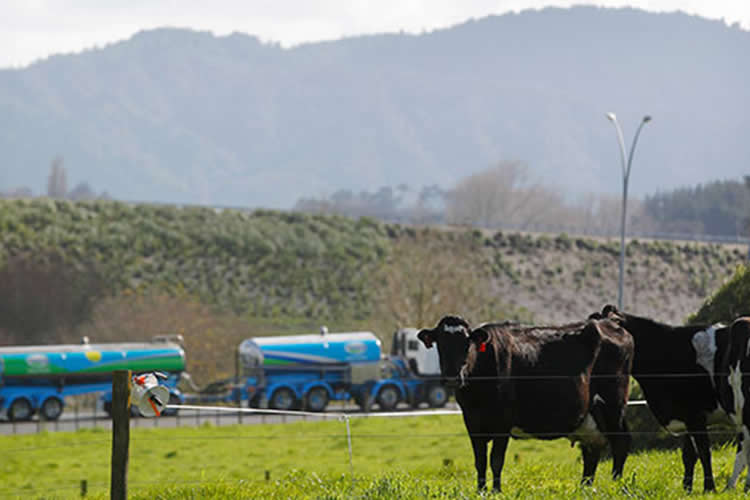 Buen momento para precios internacionales de lácteos