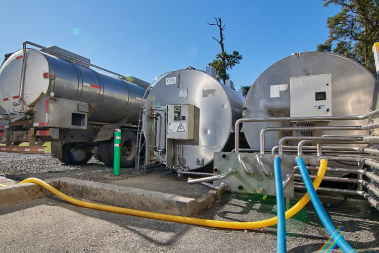 Ranking lácteo: Colun, Soprole y Nestlé lideran el aumento en la recepción en 2025