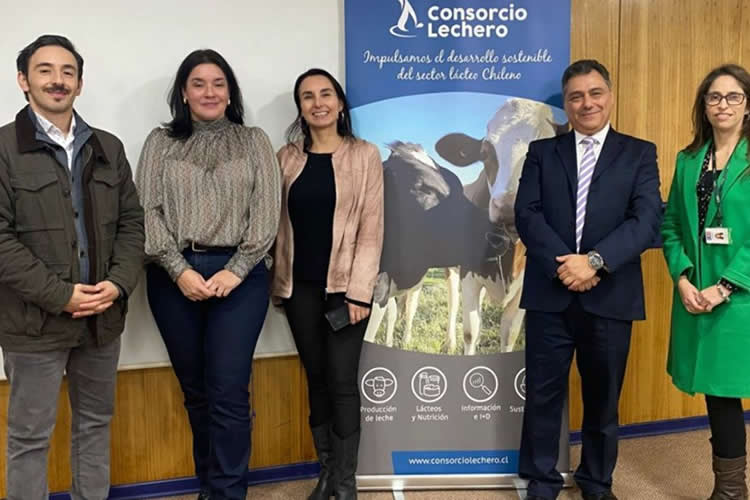 Antimicrobianos: Médicos veterinarios actualizaron conocimientos en Chillán